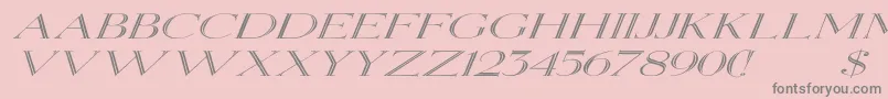 More about ElizabethexItalic Font ElizabethexItalic Font – Gray Fonts on Pink Background