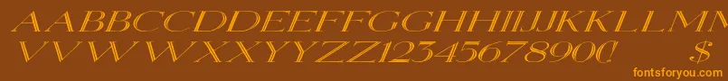 Шрифт ElizabethexItalic – оранжевые шрифты на коричневом фоне