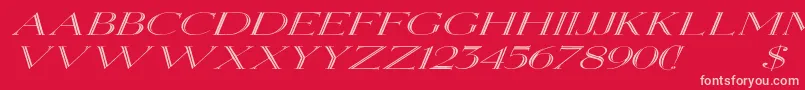 ElizabethexItalic Font – Pink Fonts on Red Background