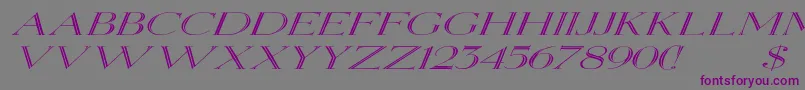 ElizabethexItalic-Schriftart – Violette Schriften auf grauem Hintergrund