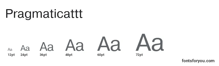 Размеры шрифта Pragmaticattt