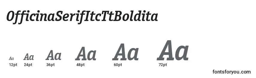 Размеры шрифта OfficinaSerifItcTtBoldita