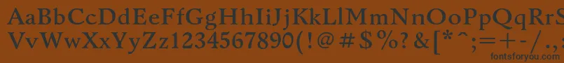 フォントBannikovacBold – 黒い文字が茶色の背景にあります