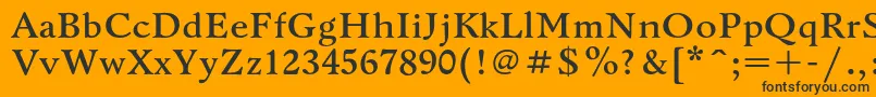 BannikovacBold Font – Black Fonts on Orange Background