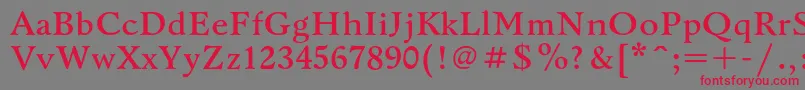 BannikovacBold Font – Red Fonts on Gray Background