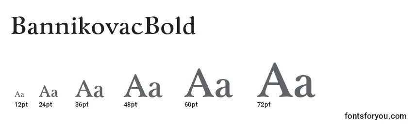 Размеры шрифта BannikovacBold