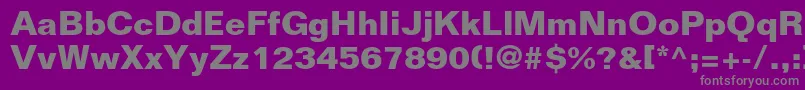 FoliostdBold Font – Gray Fonts on Purple Background