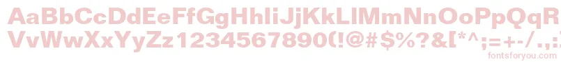 FoliostdBold Font – Pink Fonts on White Background