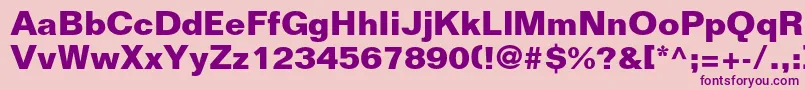 FoliostdBold Font – Purple Fonts on Pink Background