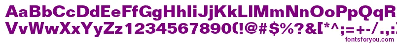 FoliostdBold Font – Purple Fonts