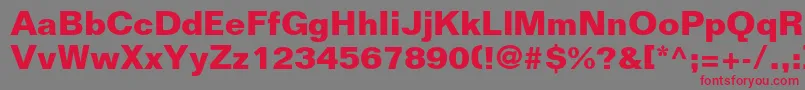 FoliostdBold Font – Red Fonts on Gray Background