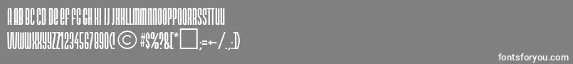 NeotypeRegularDb Font – White Fonts on Gray Background