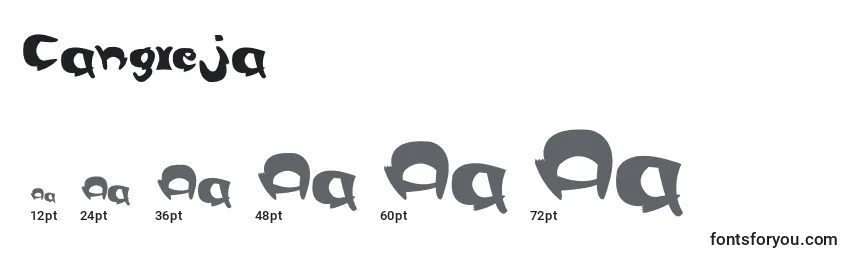 Размеры шрифта Cangreja
