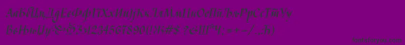 Kaligraf Font – Black Fonts on Purple Background