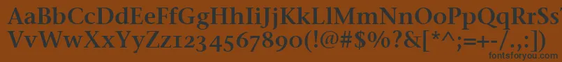 フォントStoneSerifSemOsItcttSemi – 黒い文字が茶色の背景にあります