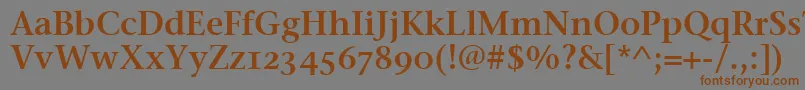 フォントStoneSerifSemOsItcttSemi – 茶色の文字が灰色の背景にあります。