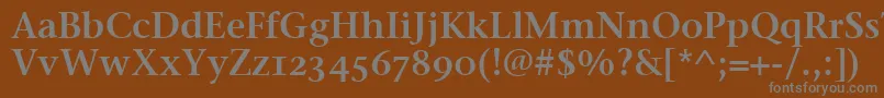 フォントStoneSerifSemOsItcttSemi – 茶色の背景に灰色の文字