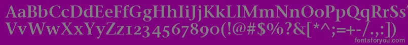 フォントStoneSerifSemOsItcttSemi – 紫の背景に灰色の文字