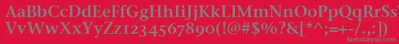 フォントStoneSerifSemOsItcttSemi – 赤い背景に灰色の文字