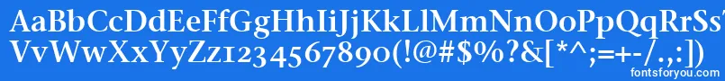 フォントStoneSerifSemOsItcttSemi – 青い背景に白い文字