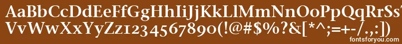 フォントStoneSerifSemOsItcttSemi – 茶色の背景に白い文字