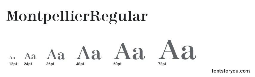 Размеры шрифта MontpellierRegular
