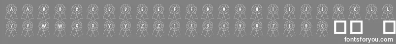 More about 101AwardsWon Font 101AwardsWon Font – White Fonts on Gray Background
