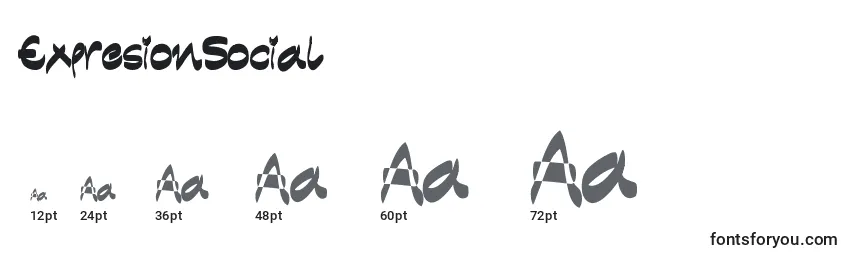 ExpresionSocial Font Sizes