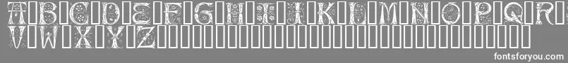 Silvus-Schriftart – Weiße Schriften auf grauem Hintergrund