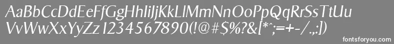 SigvarserialLightItalic Font – White Fonts on Gray Background