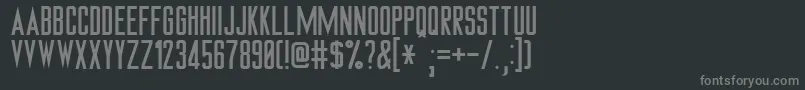 フォントTngMonitorsPlain – 黒い背景に灰色の文字