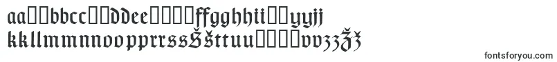 Czcionka Typographergotischaunz1 – litewskie czcionki