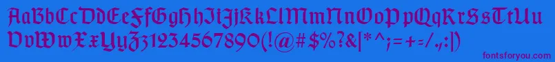 Typographergotischaunz1 Font – Purple Fonts on Blue Background