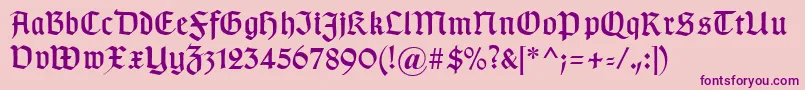 Typographergotischaunz1 Font – Purple Fonts on Pink Background