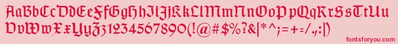 Typographergotischaunz1 Font – Red Fonts on Pink Background