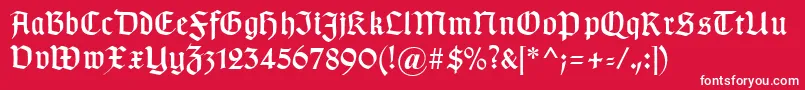 フォントTypographergotischaunz1 – 赤い背景に白い文字