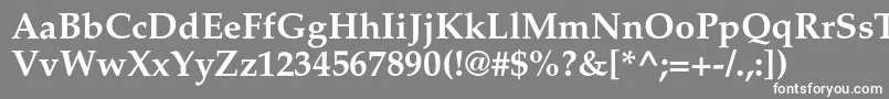 フォントAgpalatialcBold – 灰色の背景に白い文字