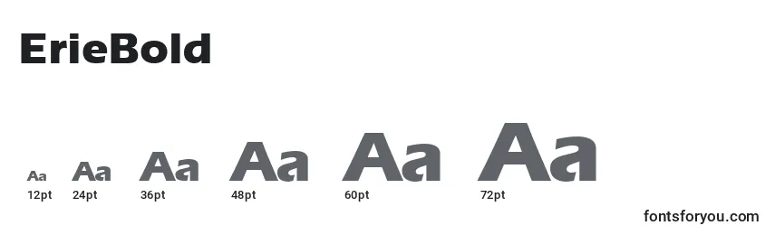 sizes of eriebold font, eriebold sizes