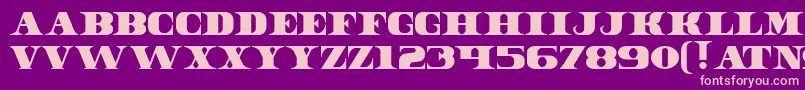 DollarBill Font – Pink Fonts on Purple Background