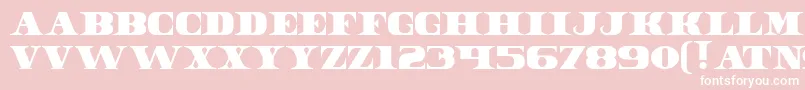 DollarBill Font – White Fonts on Pink Background