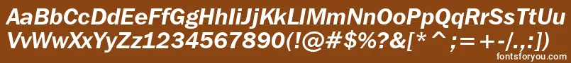 FranklinGothicItcDemiItalicBt Font – White Fonts on Brown Background