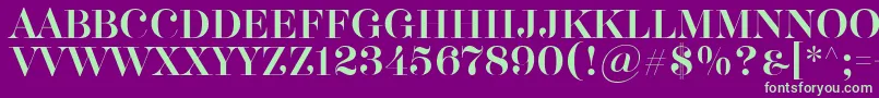 Akerbryggedisplay-Schriftart – Grüne Schriften auf violettem Hintergrund