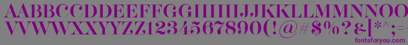 フォントAkerbryggedisplay – 紫色のフォント、灰色の背景