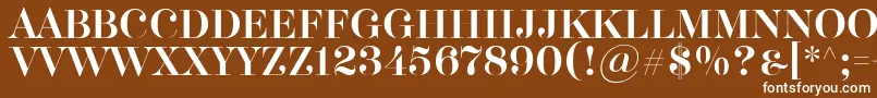 Akerbryggedisplay Font – White Fonts on Brown Background