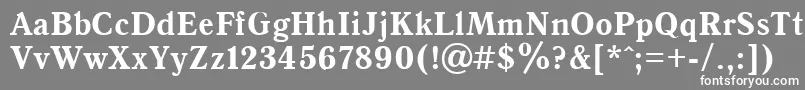 フォントAntiqua95b – 灰色の背景に白い文字