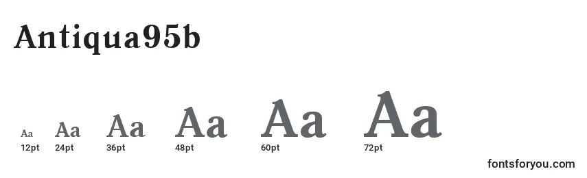 Antiqua95b Font Sizes