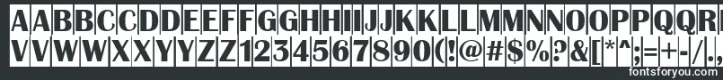 Шрифт AAlbionictitulcm – белые шрифты