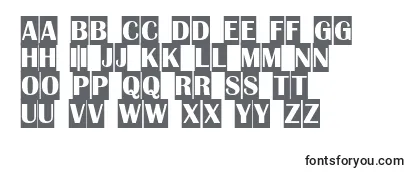 Review of the AAlbionictitulcm Font