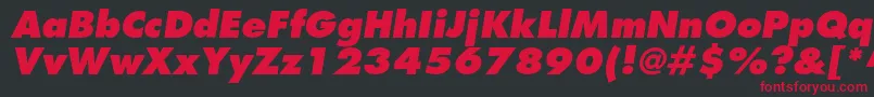FavoritextraboldItalic Font – Red Fonts on Black Background