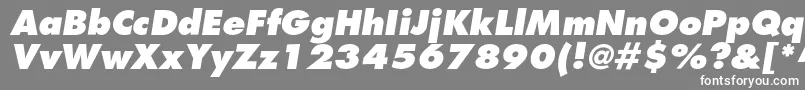 フォントFavoritextraboldItalic – 灰色の背景に白い文字